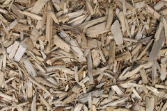 biomass boilers Cheriton